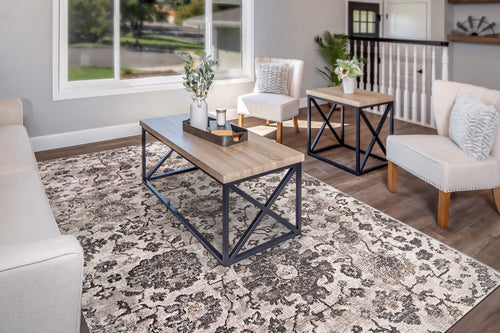 Dynamic Rugs RILEY 6034-908 Grey/Beige Rug