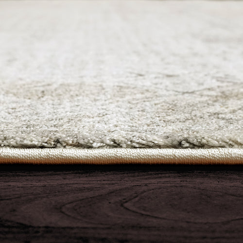 Dynamic Rugs CAPELLA 7925-970 Grey/Gold Rug