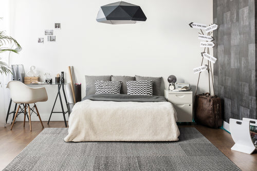 Dynamic Rugs ROBIN 1151-991 Grey Rug