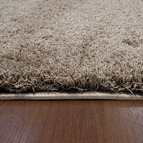 Dynamic Rugs SILKY SHAG 5900-115 Beige Rug