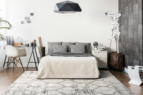 Dynamic Rugs Troya 4603-109 Grey Rug
