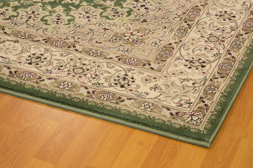 Dynamic Rugs LEGACY 58000-420 Green Rug