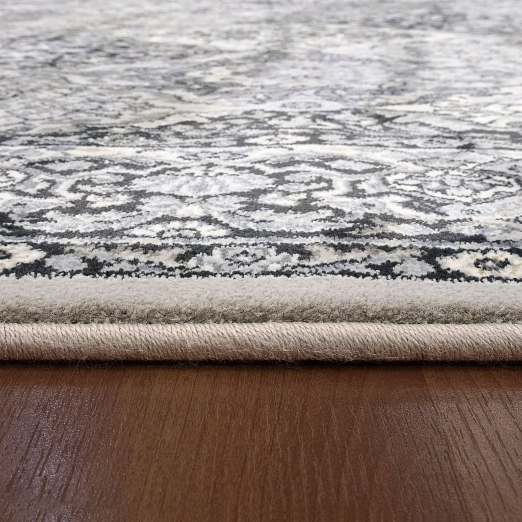 Dynamic Rugs Ancient Garden 57008-9696 Cream/Grey Rug