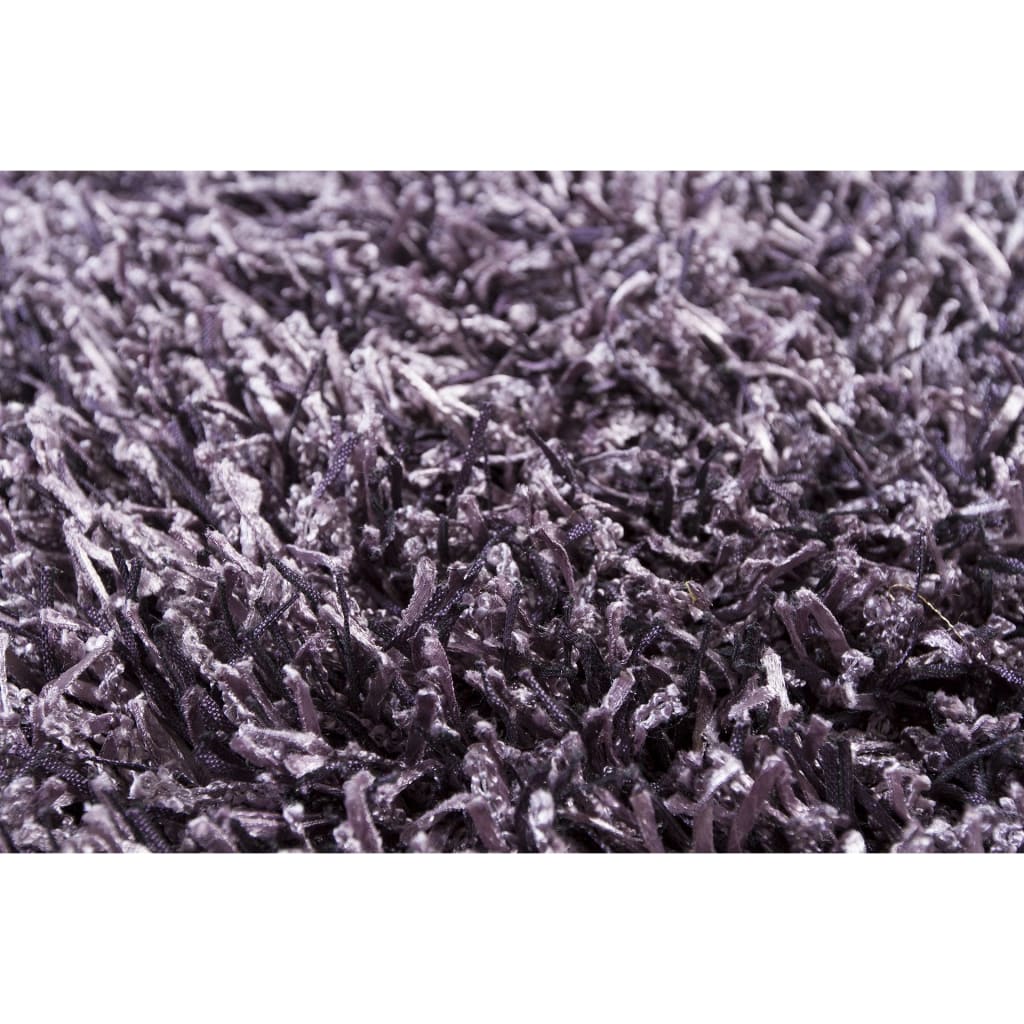 Chandra Zyaeze BRE-23102 Purple Rug