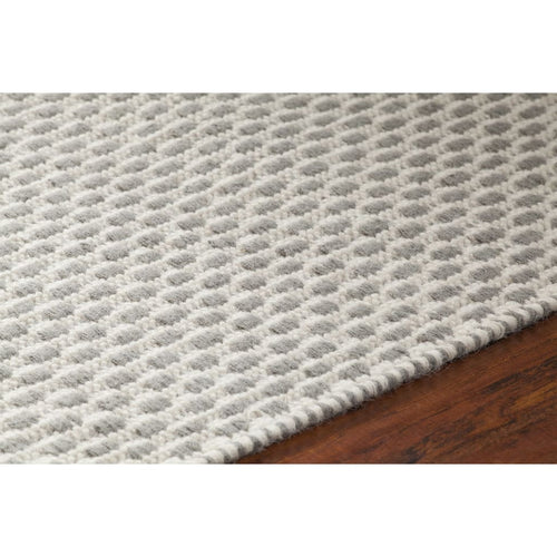 Bristol BRI-35809 Grey Rug