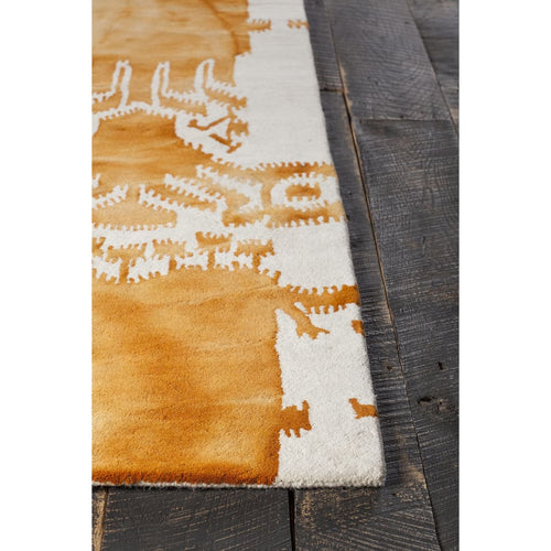 Cailin CAI-42001 Orange Rug