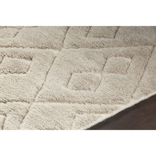Catalina CAT-45102 Beige Rug