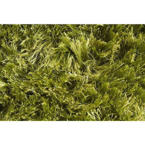 Celecot CEL-4705 Green Rug