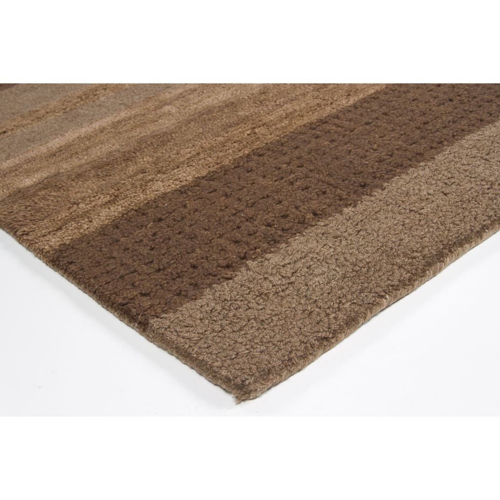 Chandra Zyaon DEJ-19602 Brown Rug