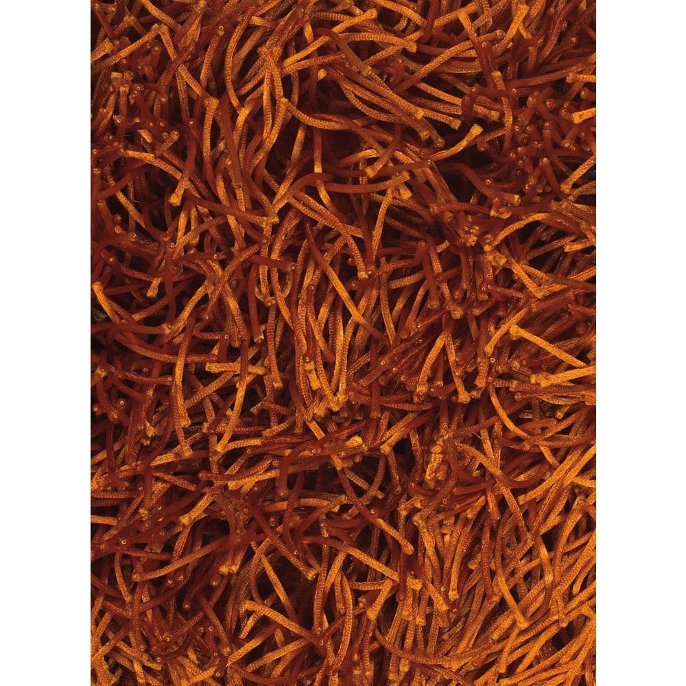 Chandra Zyae DUK-20903 Orange Rug