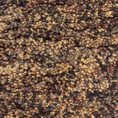 Izzie IZZ-45301 Brown Rug