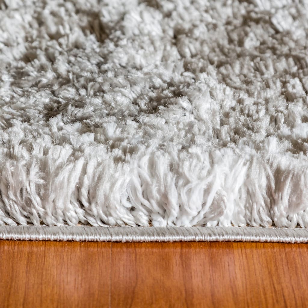 Dynamic Rugs Nordic 7431-900 Silver/White Rug