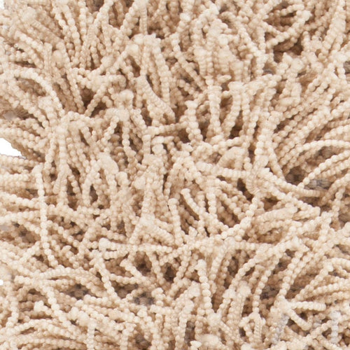 Nyla NYL-43303 Beige Rug