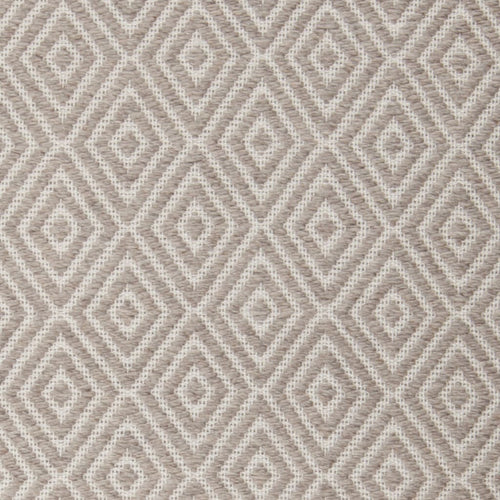 Raven RAV-47400 Grey Rug