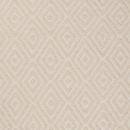 Raven RAV-47401 Ivory Rug