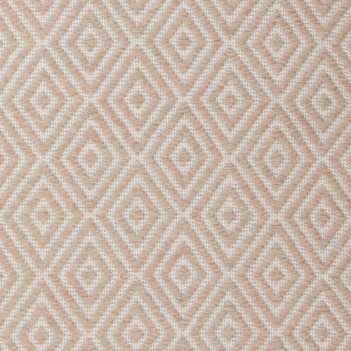 Raven RAV-47402 Tan Rug