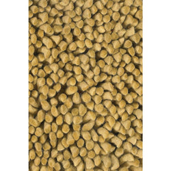 Strata STR-1109 Gold Rug