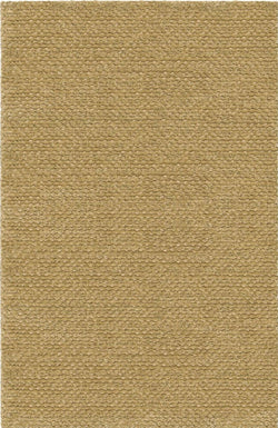 Strata STR-1160 Gold Rug